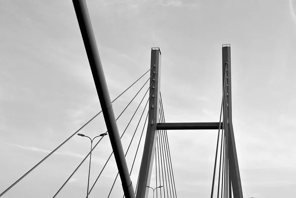 The bridge pylons on the ropes against — Stock Photo, Image