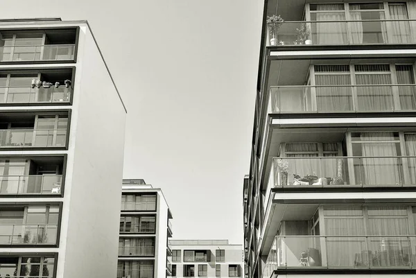  Modern, lüks daire Building.Black ve beyaz.