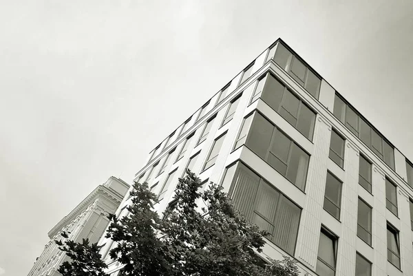 Modern bina. Camdan yapılmış modern ofis binası.