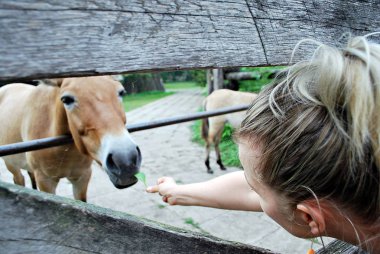 besleme gruptaki at kadın