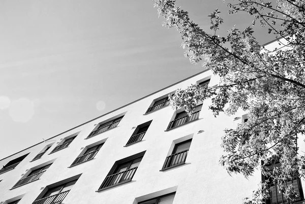 Modern, lüks apartman. Siyah ve beyaz