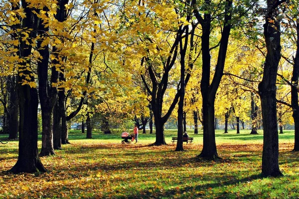 Осінь у парку — стокове фото