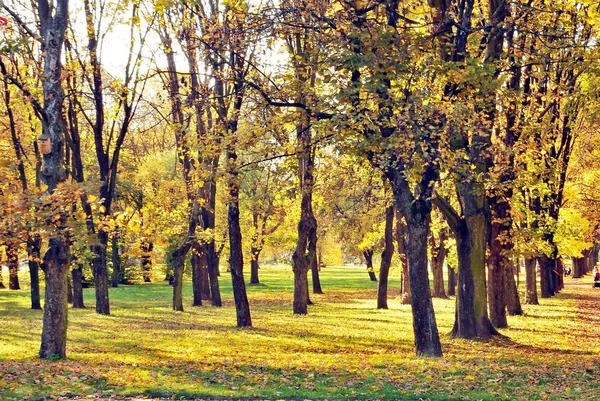 Jesień w parku — Zdjęcie stockowe