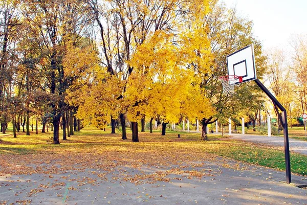 Осень в парке — стоковое фото