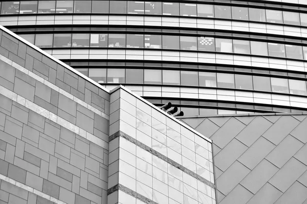Budynek Biurowy Firmy Budowlane Zewnętrzna Część Budynku Czarno Białe — Zdjęcie stockowe