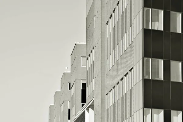 Las Paredes Cristal Del Edificio Oficinas Fondo Negocios Blanco Negro —  Fotos de Stock