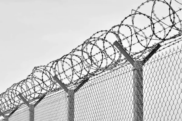 Security fence of an international airport