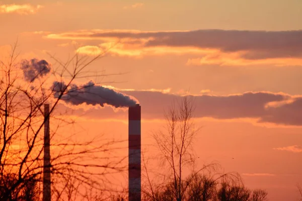 Chimeneas Humo Contra Sol Poniente Humo Planta — Foto de Stock