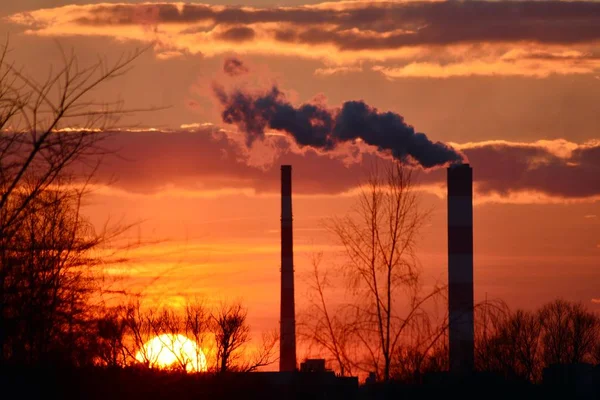 Chimneys and smoke against the setting sun. The smoke from the plant.