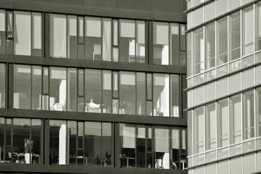 Modern şehir ofis binası dış. Siyah ve beyaz.