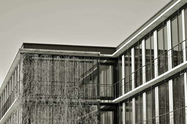 Modern City Office Building Exterior Black White — Stock Photo, Image