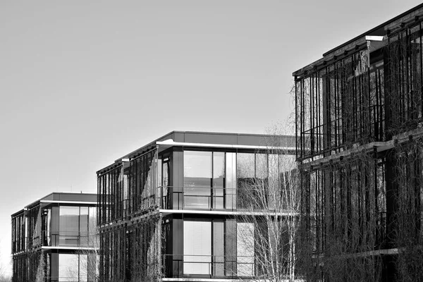现代城市办公大楼外观 黑白相间 — 图库照片