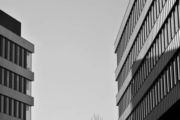 Modern City Office Building Exterior Black White — Stock Photo, Image