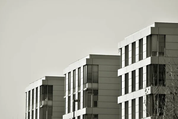 近代的な都市事務所ビル外観 黒と白 — ストック写真