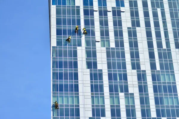 Industrial climbers wash the windows of modern skyscraper.
