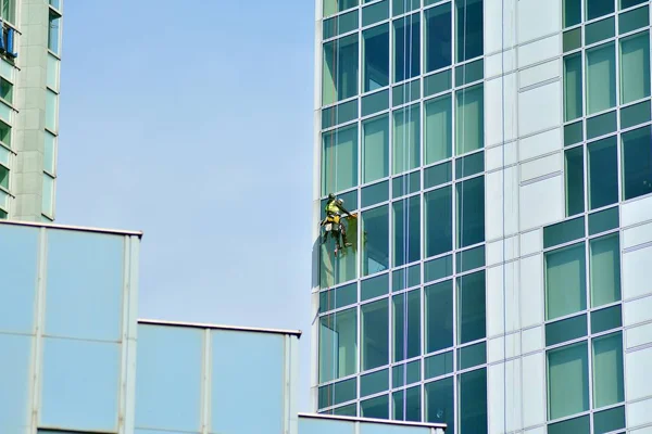 Industrial climbers wash the windows of modern skyscraper.