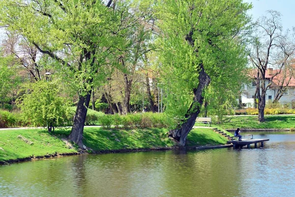 See Park Der Stadt — Stockfoto