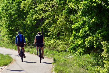 Kamu parki yeşil çim sahası, yeşil ağaç bitki ve bir parti bulutlu mavi gökyüzü ile sahnede güzel park