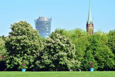 Kamu parki yeşil çim sahası, yeşil ağaç bitki ve bir parti bulutlu mavi gökyüzü ile sahnede güzel park