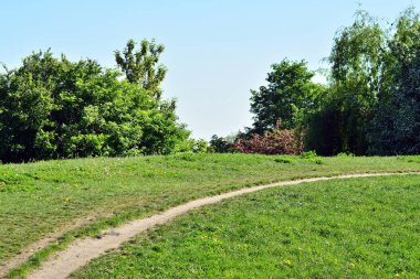Kamu parki yeşil çim sahası, yeşil ağaç bitki ve bir parti bulutlu mavi gökyüzü ile sahnede güzel park