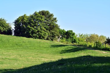 Kamu parki yeşil çim sahası, yeşil ağaç bitki ve bir parti bulutlu mavi gökyüzü ile sahnede güzel park
