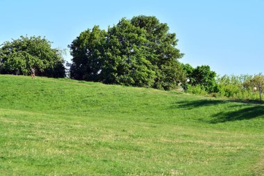 Kamu parki yeşil çim sahası, yeşil ağaç bitki ve bir parti bulutlu mavi gökyüzü ile sahnede güzel park