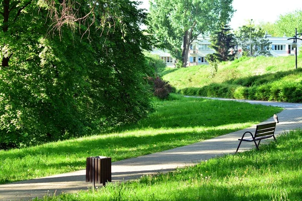 Kamu parki yeşil çim sahası, yeşil ağaç bitki ve bir parti bulutlu mavi gökyüzü ile sahnede güzel park