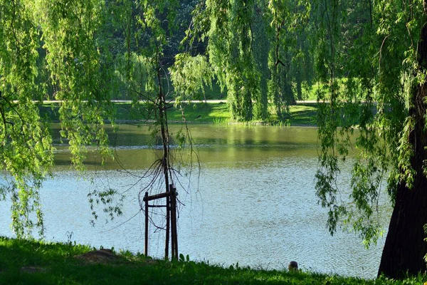 Lac Dans Parc — Photo
