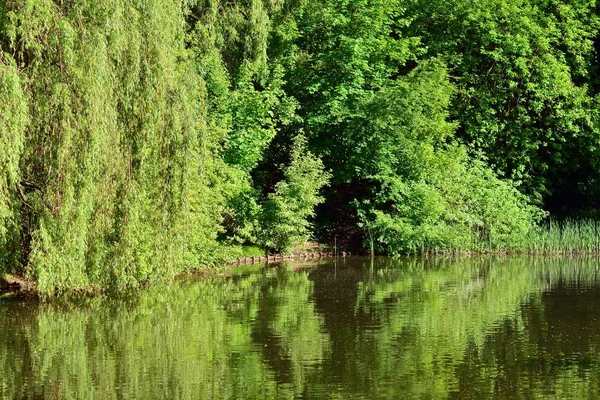 Jezero Parku — Stock fotografie