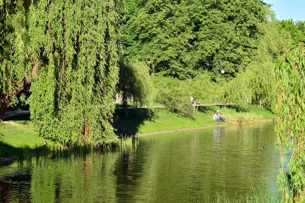 Lago Parque — Foto de Stock