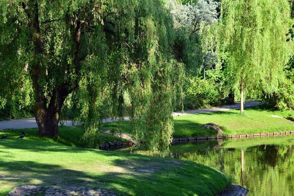 Lago Parque — Foto de Stock