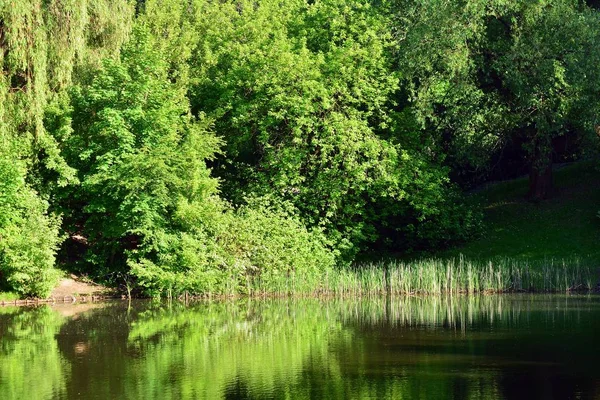 Lago Parque — Foto de Stock