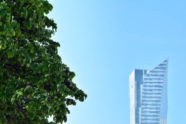 Kentsel arka plan, modern Cam cephe, detay ofis iş Binası.