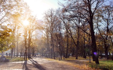 Güneşin doğuşu güzel parkta