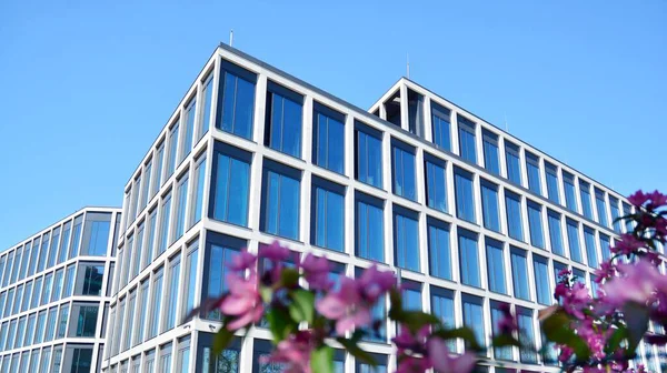 Dikey çizgileri ve yansıması olan modern ofis pencereleri. Gökyüzünü bulutlarla yansıtıyor ve gerçeküstü bir manzara yaratıyor..