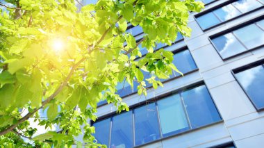 Modern şehir konseptinde eko binası. Taze yeşil yapraklı modern ofis binası.. 