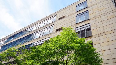 Modern şehir konseptinde eko binası. Taze yeşil yapraklı modern ofis binası.. 