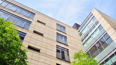 Modern şehir konseptinde eko binası. Taze yeşil yapraklı modern ofis binası.. 