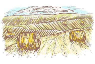 Kırsal manzara elle çizilmiş. Rulo saman meadows