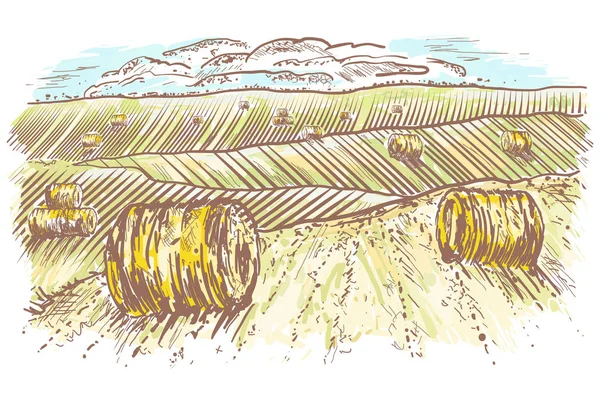 Paesaggio rurale disegnato a mano. Rotoli di fieno sui prati — Vettoriale Stock