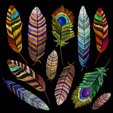 Tropikal kuşlar nakış tüyleri. Renk tüyler nakış