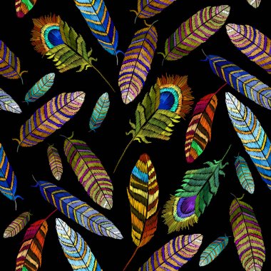 Renk tüyler nakış seamless modeli elle çizilmiş moda