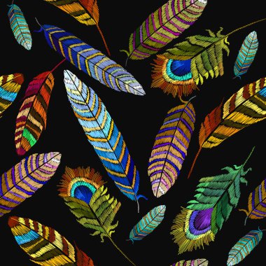 Renk tüyler nakış seamless modeli. Moda şablonu