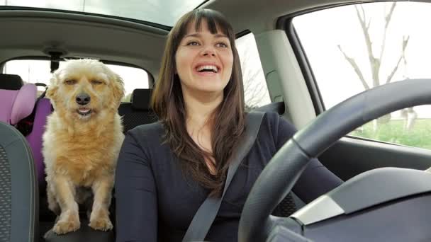 ハッピー女性接吻犬ながら運転車スローモーション — ストック動画