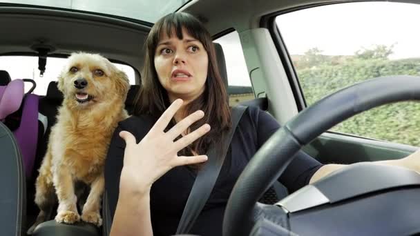 Женщина злится из-за пробок, разговаривает с собакой в машине. — стоковое видео