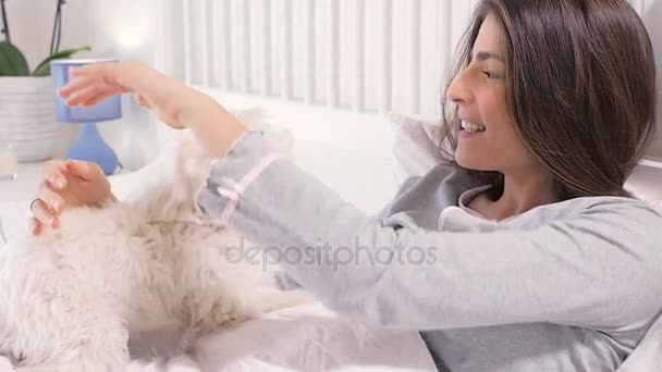 Gelukkige vrouw spelen met Maltees puppy hondje in bed closeup — Stockvideo