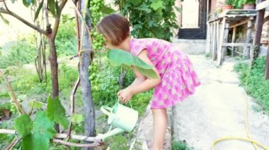 Mutlu kız domates için veren su Bahçe