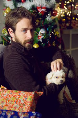 Yakışıklı adam yılbaşı gecesini evde ağacının yanındaki küçük köpeği okşama