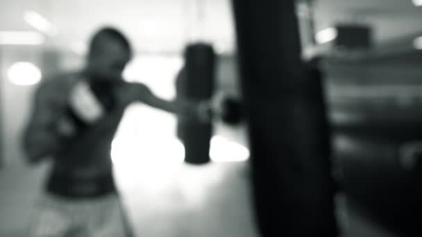 Boxer Punching Bag Gym Black White Out Focus — Stock Video