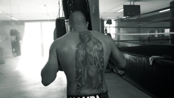 拳击袋在体育馆里 黑白照片从后面射出 — 图库视频影像